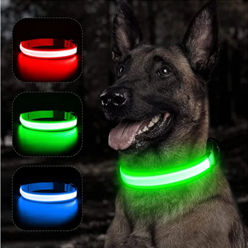 LED Glowing Dog Collar Adjustable Flashing Rechargea Luminous Collar Night Anti-Lost Dog Light Harnessfor Small Dog Pet Products