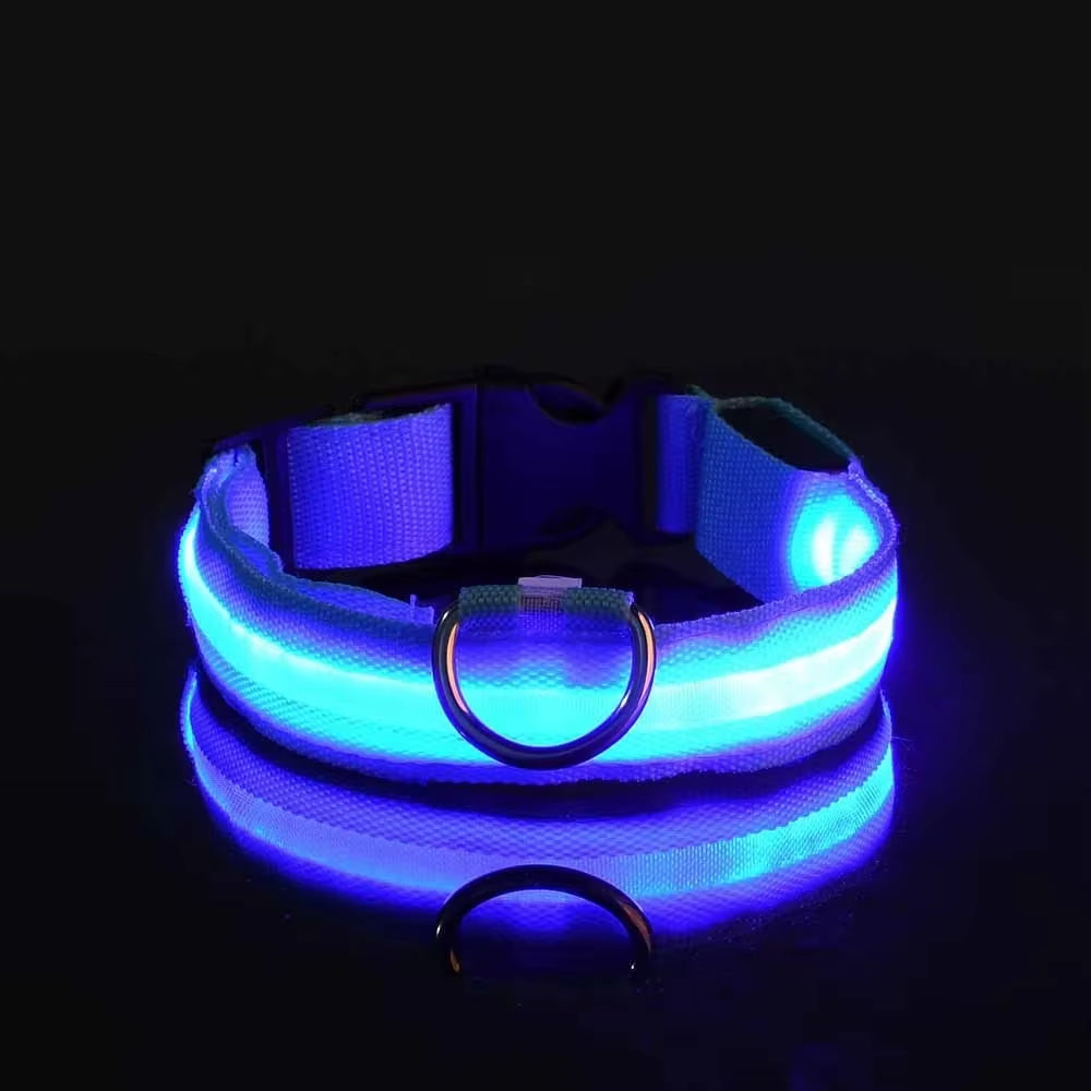 Dog Collar Nylon LED Night Safety Flashing Glow in the Dark Pet Dog Leash Pet Dogs Luminous Fluorescent Dog Accessories Collar